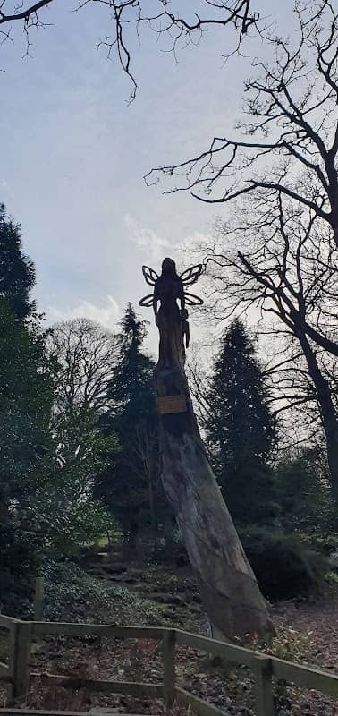 Burn Valley Family Wood - Image 2
