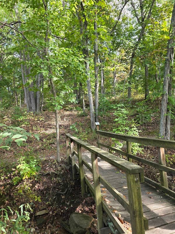 Ozark Rivers Audubon - Nature Center - Image 2