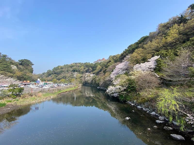 Cheonjiyeon Waterfalls - Image 2