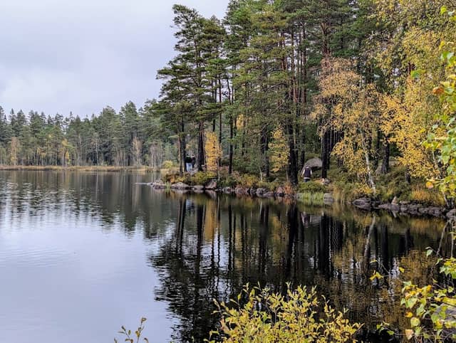 Visjön - Image 1