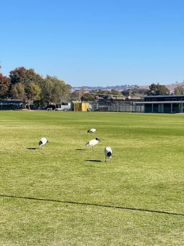 Martin Park - Image 1