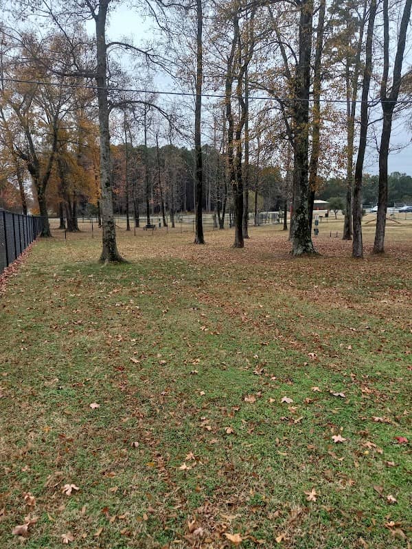 Jacksonville Dog Park - Image 2