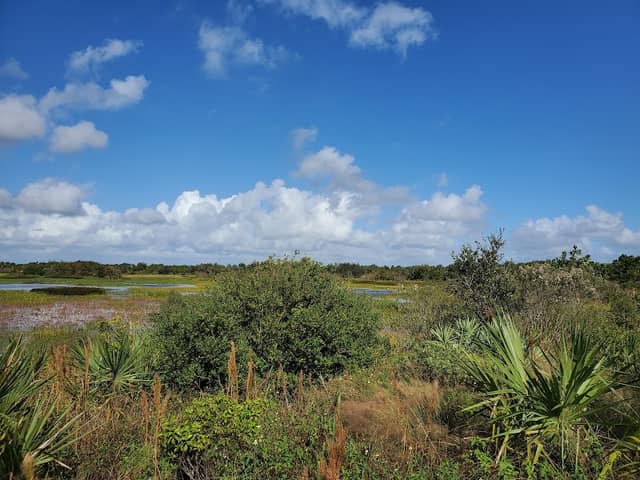 Wellington Park - Image 2