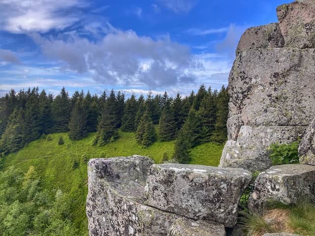 Belvedere - Image 1