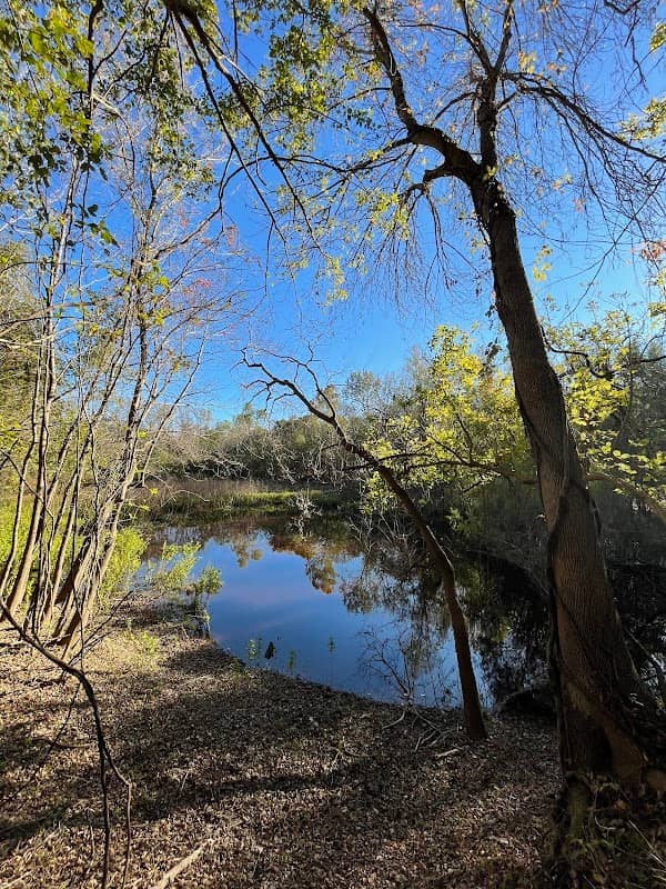 Mirror Pond at Brazos - Image 1