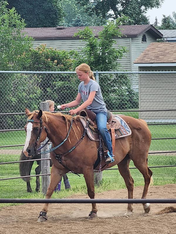 Stutsman Co Horse Arena & Circle Cross Riding Club Home Horse Arena - Image 2