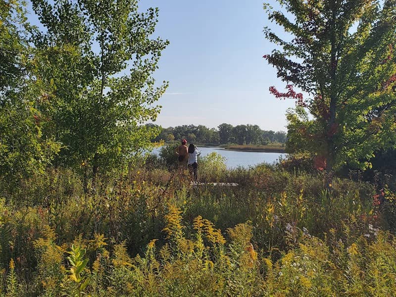 Round Lake Marsh - Image 2