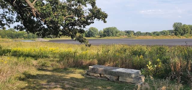 Round Lake Marsh - Image 1