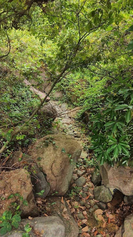 Valley - Image 1