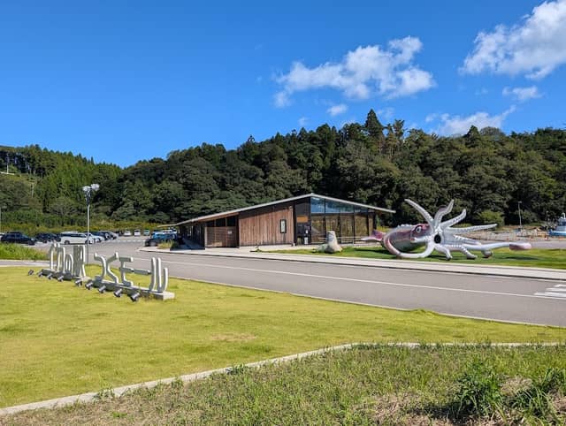 Squid King (Giant Squid Statue) - Image 2
