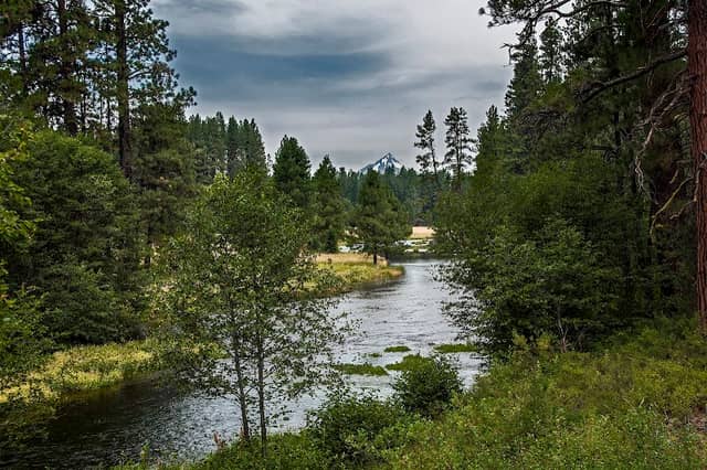 Metolius River - Image 1