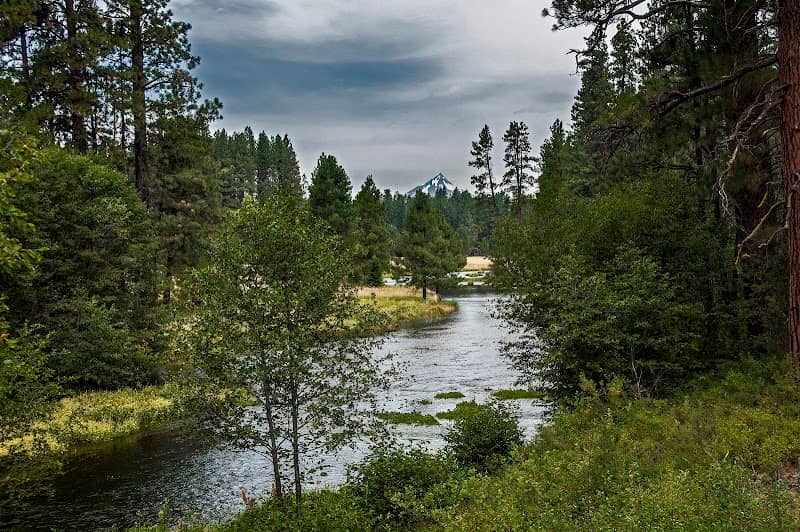 Metolius River - Image 1