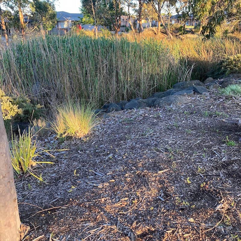 Chase Linear Reserve a Woady Yalock Catchment - Image 2