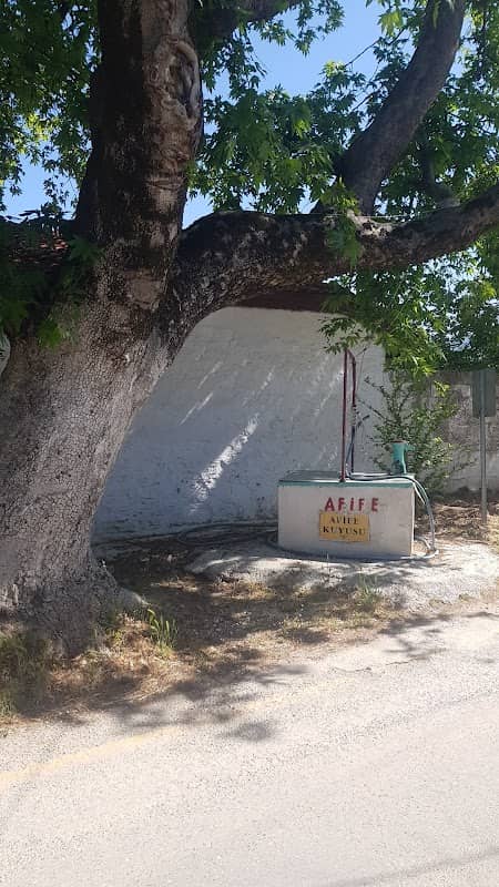 Afife Kuyusu - Image 2