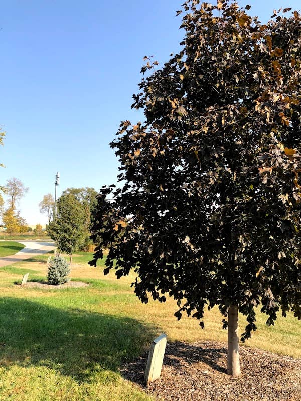 Summit Activities Center Arboretum - Image 2