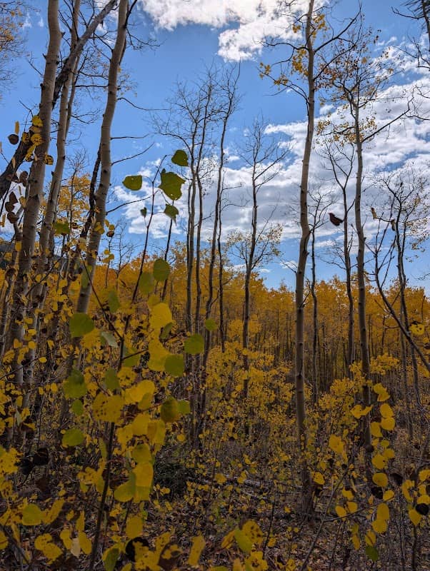 Aspen trail - Image 2