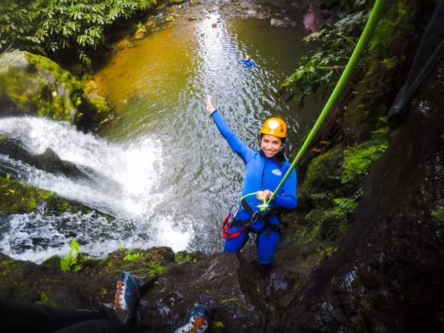 Azorean Active Blueberry - Image 1