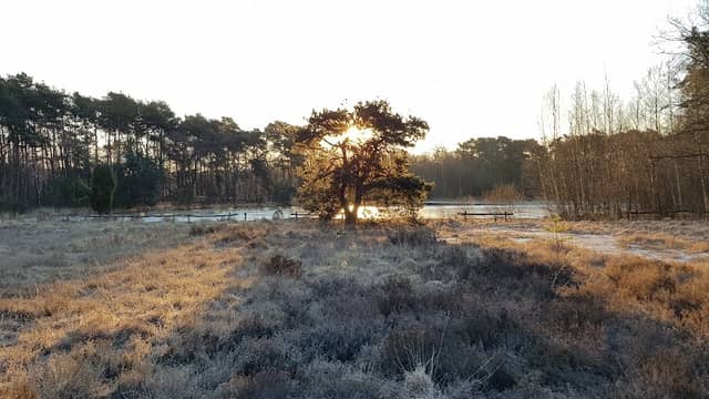 Wandelknooppunt Buursezand Parkeren - Image 1