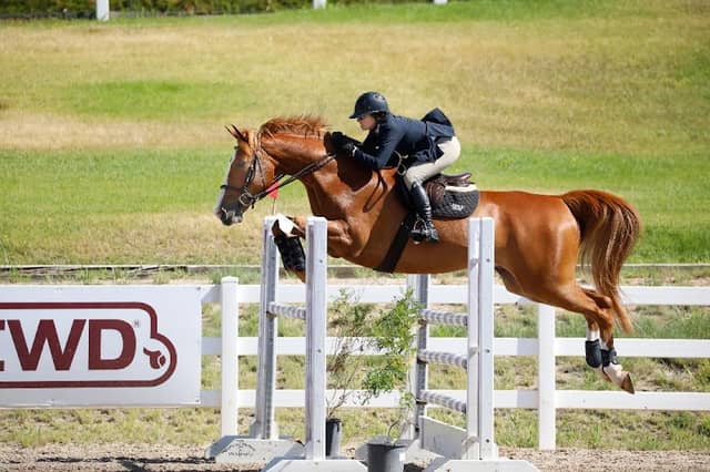 The Paddocks Stables - Image 2