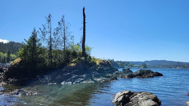 Bear Cove Park - Image 1