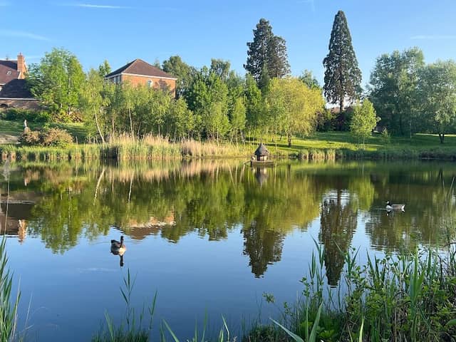 Elvetham Heath Nature Reserve - Image 2