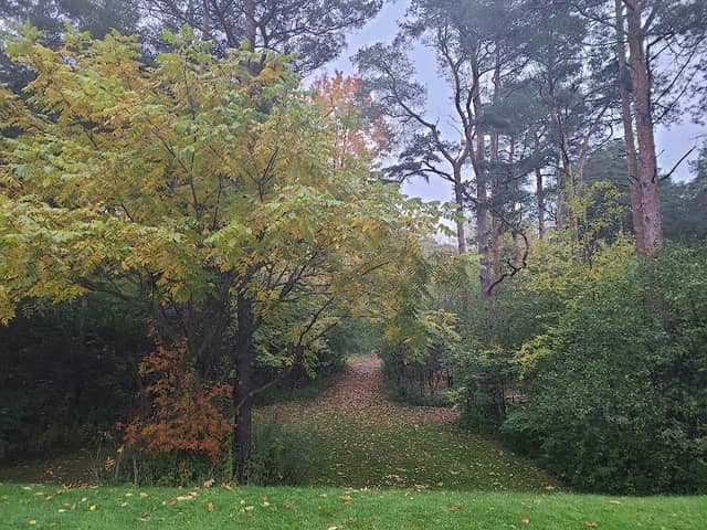Sarah Ransom Park - Image 2