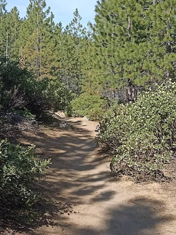 Lewis & Clark Park - Image 1