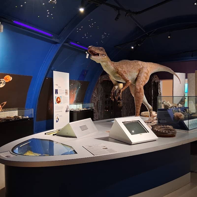 Dorman Museum - Image 2