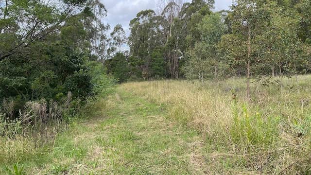 Waddangalli Woodland Reserve - Image 2