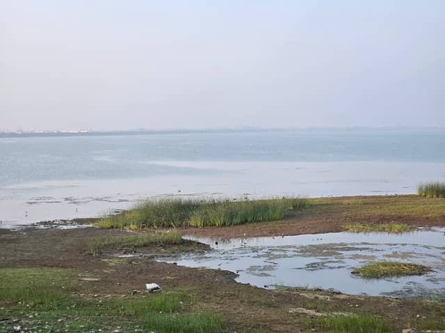 Dholi Dhaja Dam Surendranagar - Image 1