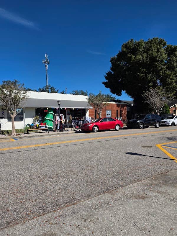 Downtown Lake Alfred - Image 1