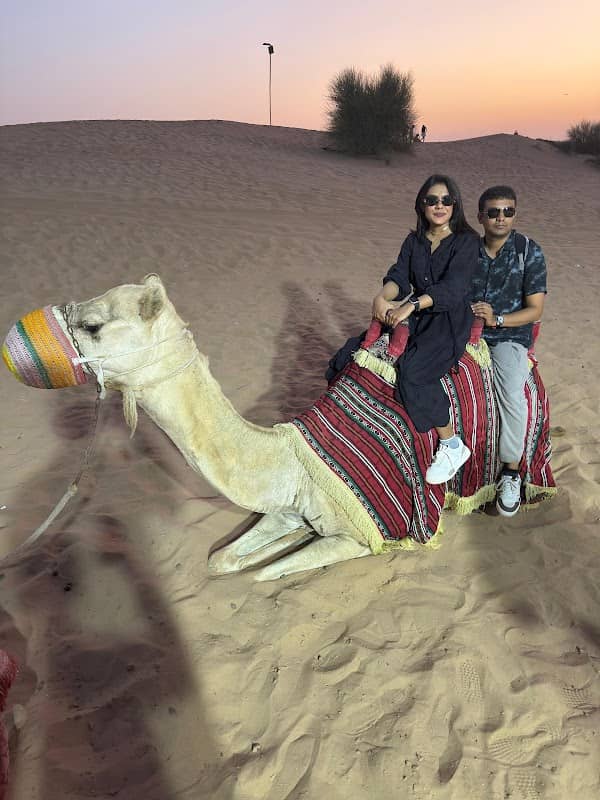 Sand Thrill Tourism - Image 2