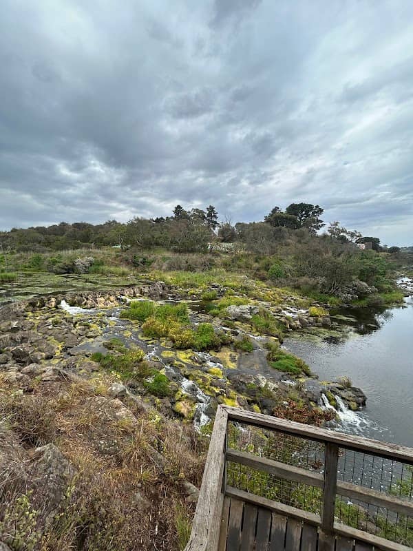 Buckley Falls - Image 2
