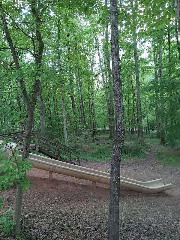 White Deer Park Pine Shelter - Image 1