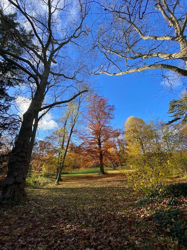 Bühne Schloßgarten - Image 2