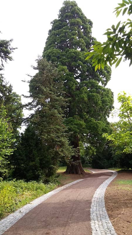 Bühne Schloßgarten - Image 1