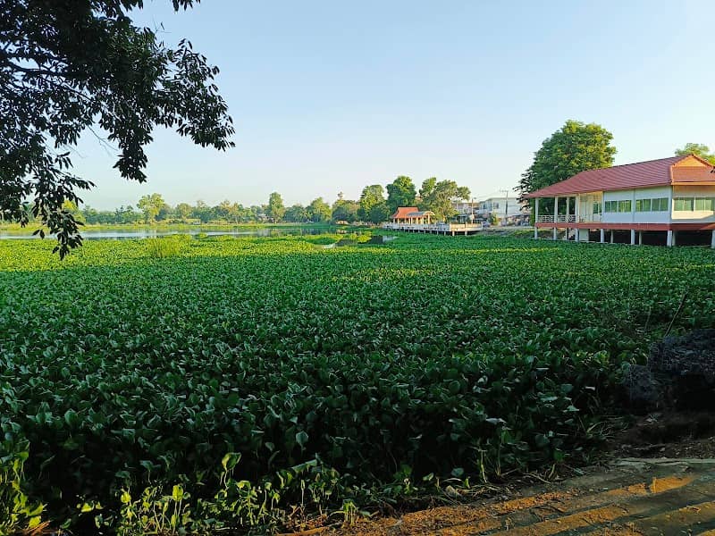 NONG NA YANG HEADQUARTERS AND LAKE PARK - Image 1