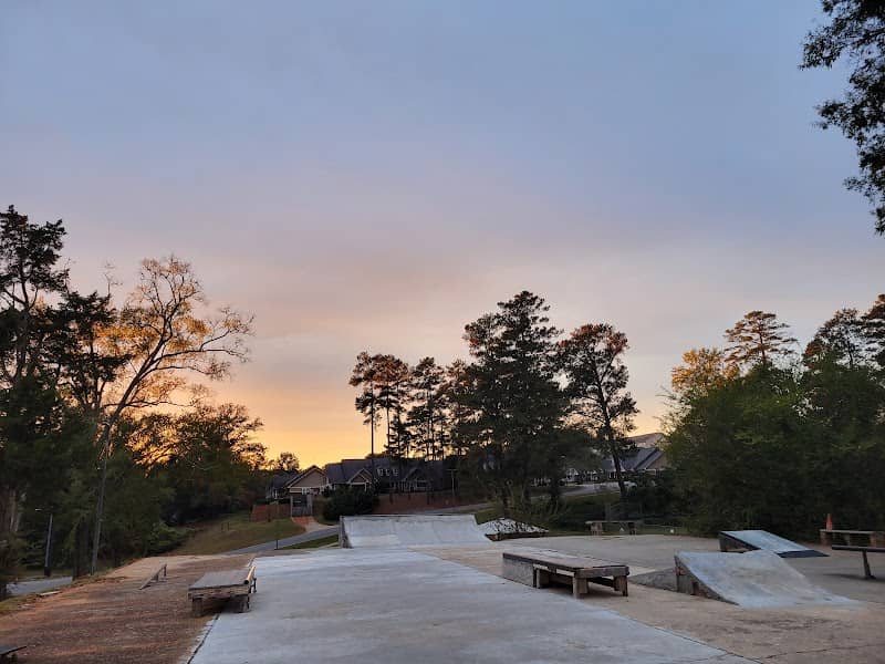 DIY Skatepark Of Milledgeville - Image 1