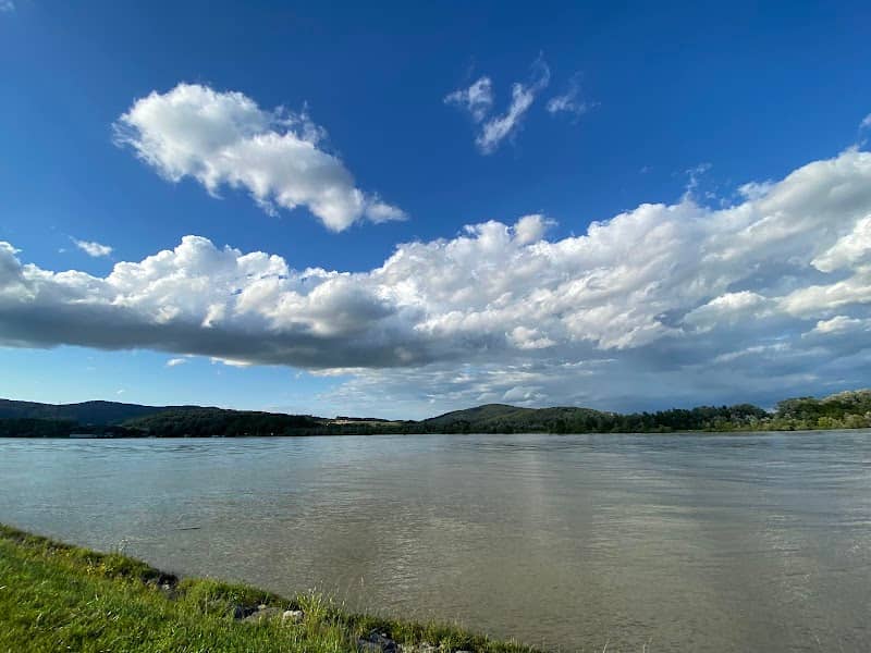Traunmündung / Traunspitz - Image 1