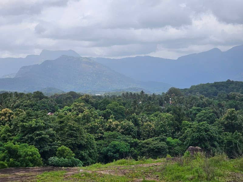 KIMS Avitis view Point - Image 1