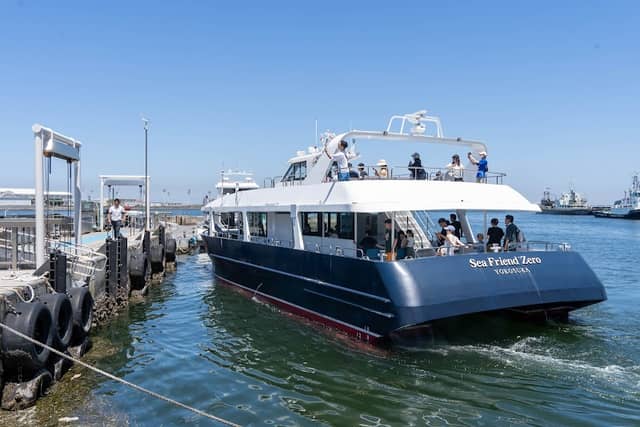 Mikasa Pier - Image 3