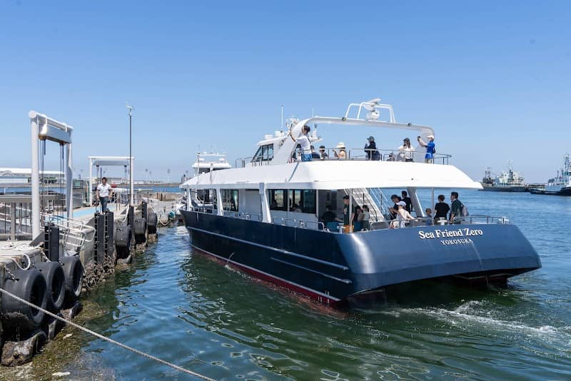 Mikasa Pier - Image 3
