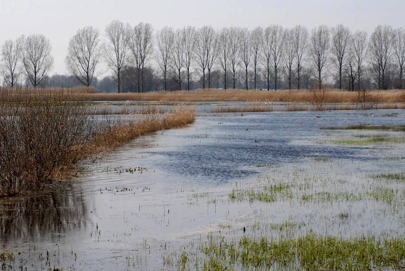 De Hilverkaveling - Image 1