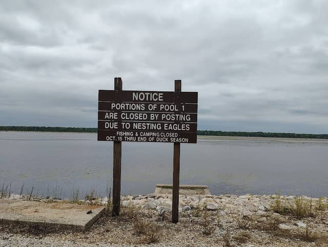 Duck creek conservation - Image 2