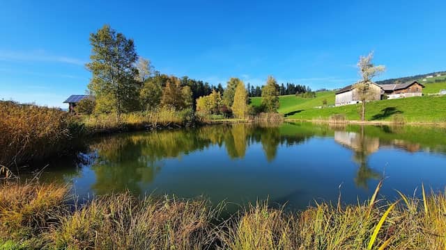Dörnle See - Image 1