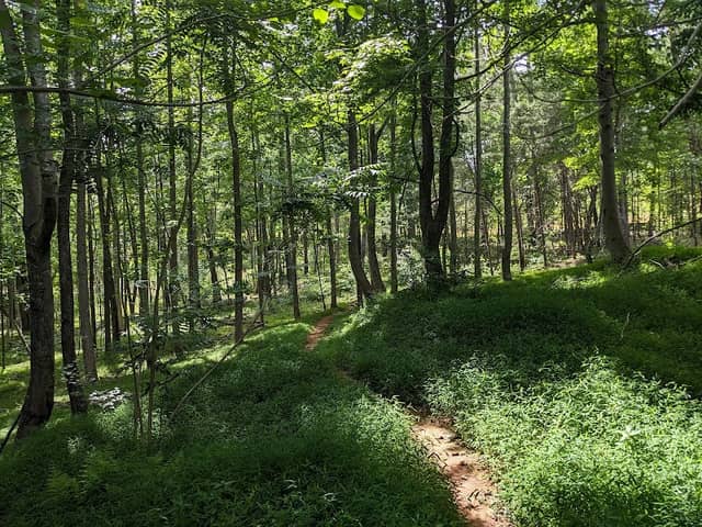 Lake James State Park - Image 3