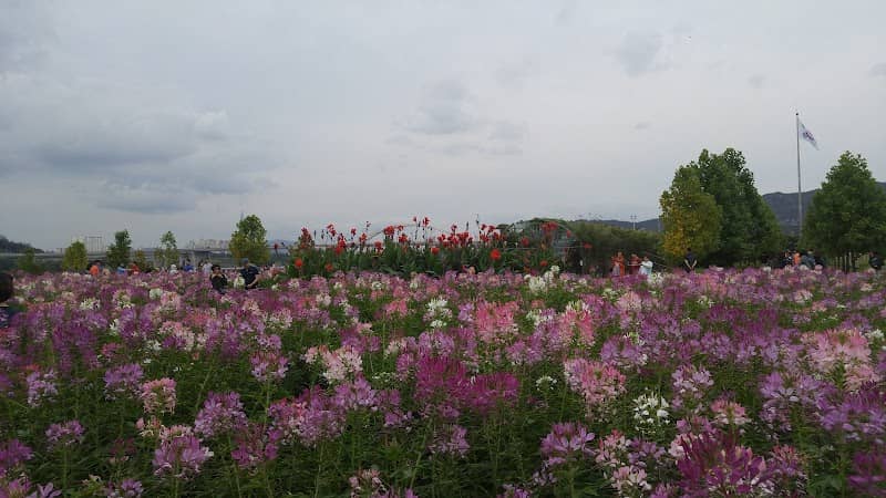 Guri Hangang Park - Image 1