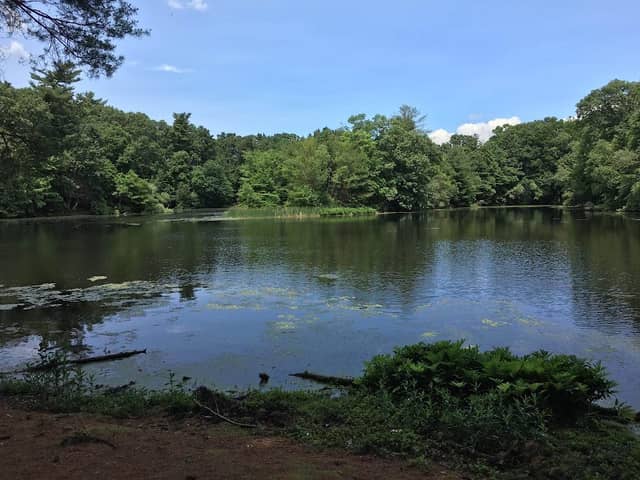 Van Horn Park - Image 2
