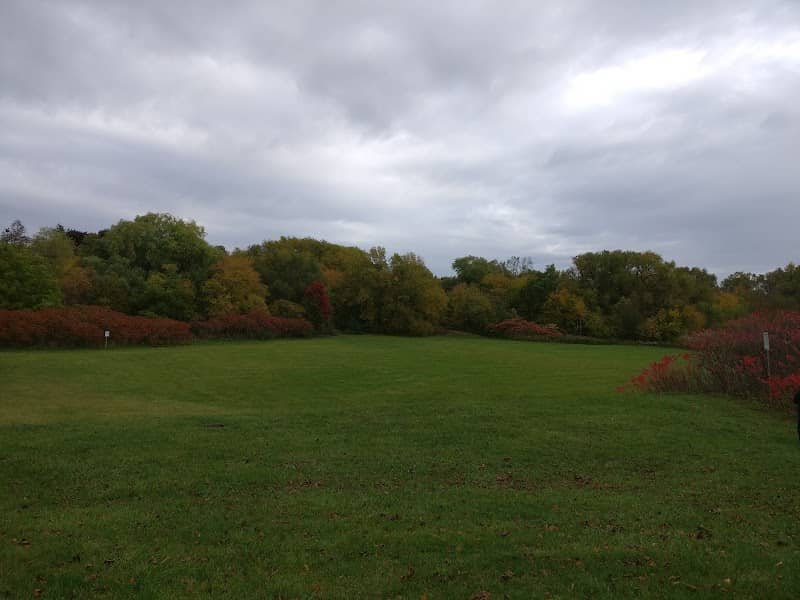 Florell Drive Park - Image 1