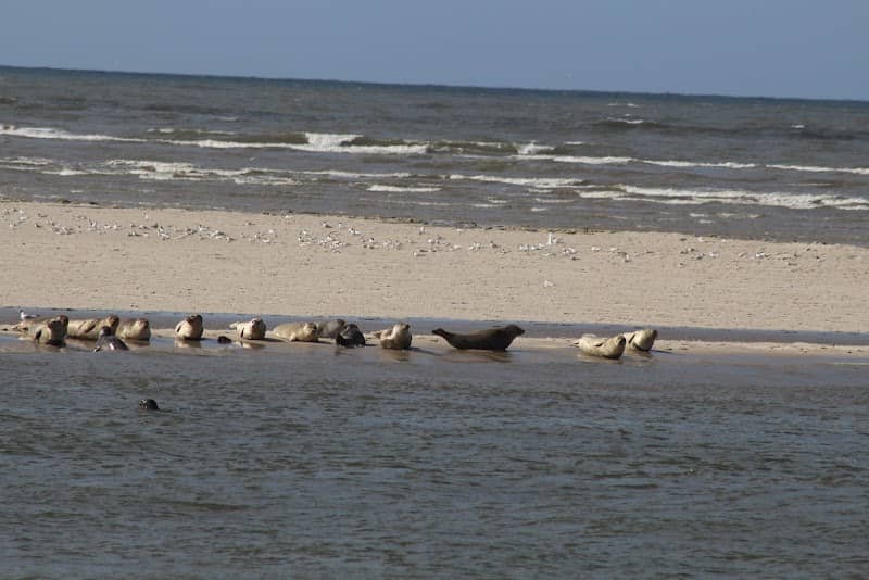 "Wattenmeer - Wangerland" National Park - Image 1